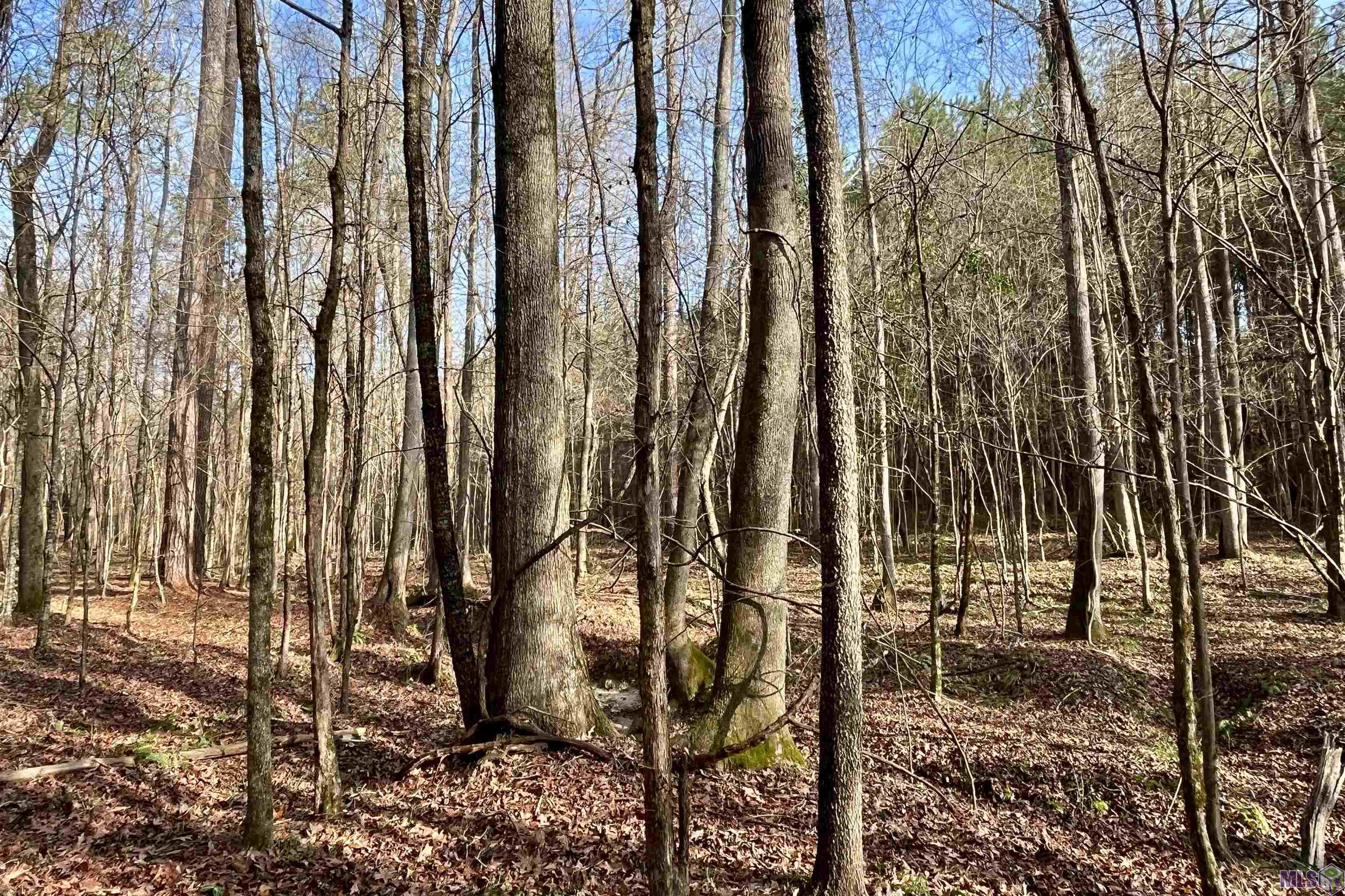 10078 Old Port Gibson Road Hermanville, MS 39086 - Photo 43 of 48