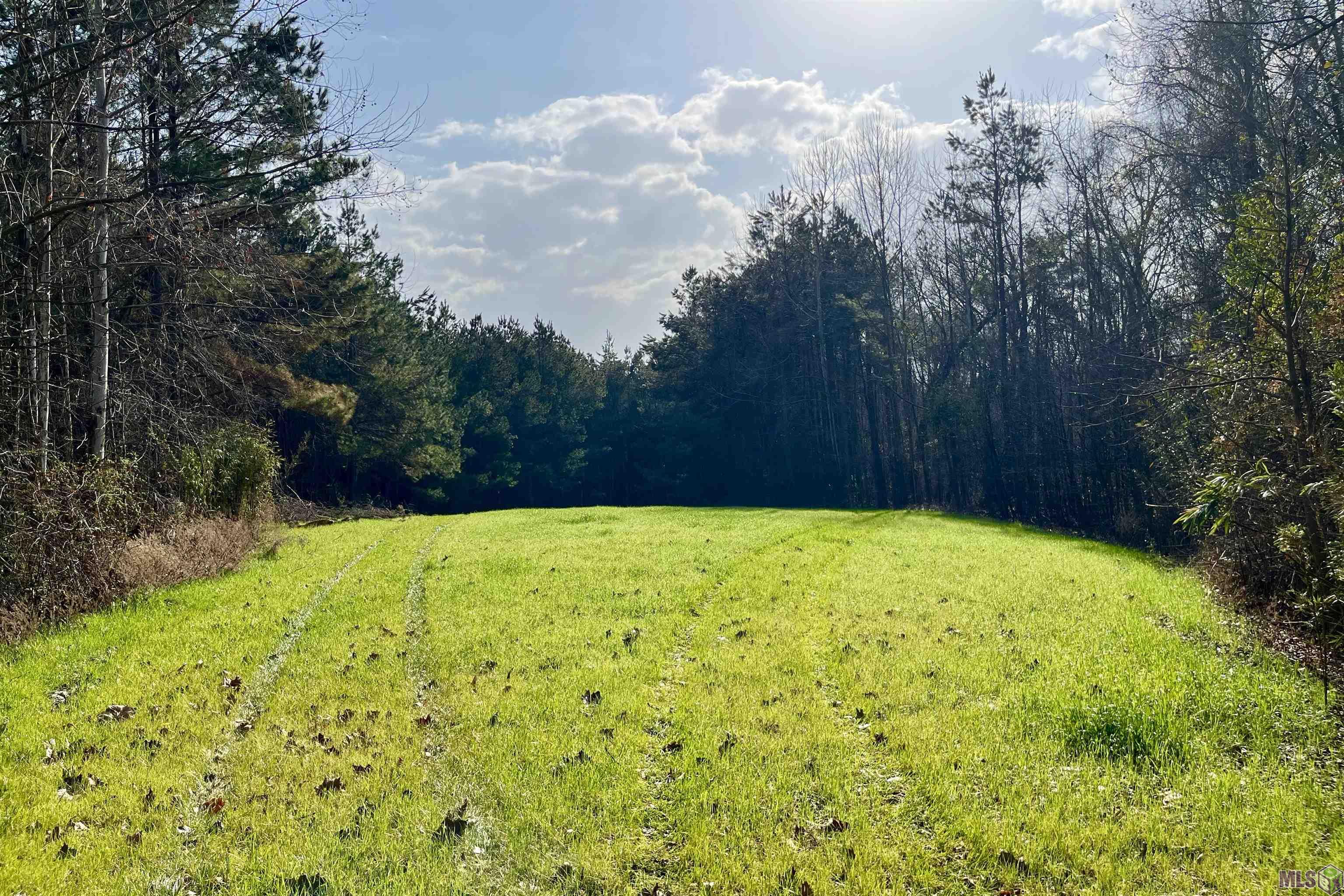 10078 Old Port Gibson Road Hermanville, MS 39086 - Photo 44 of 48