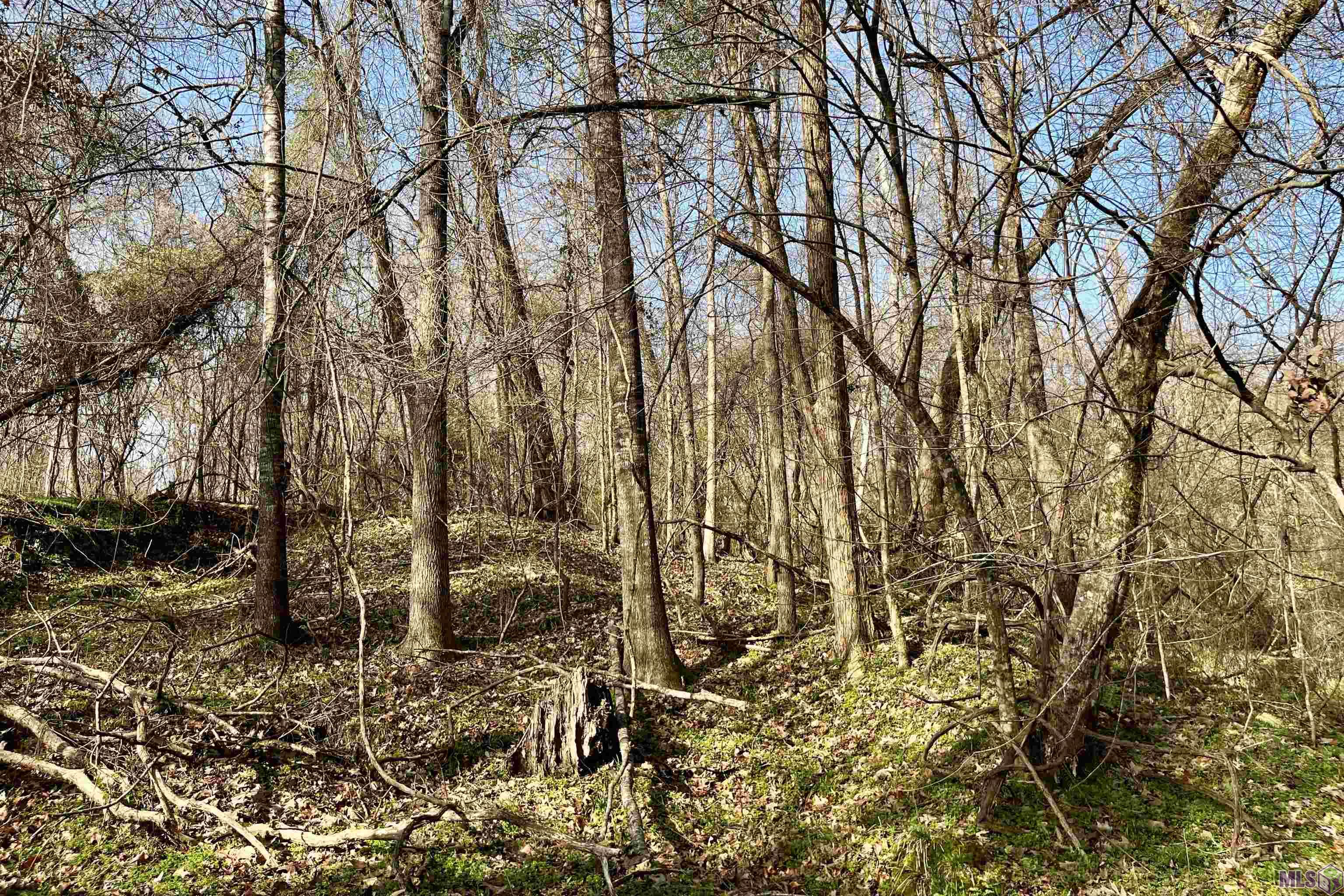 10078 Old Port Gibson Road Hermanville, MS 39086 - Photo 45 of 48