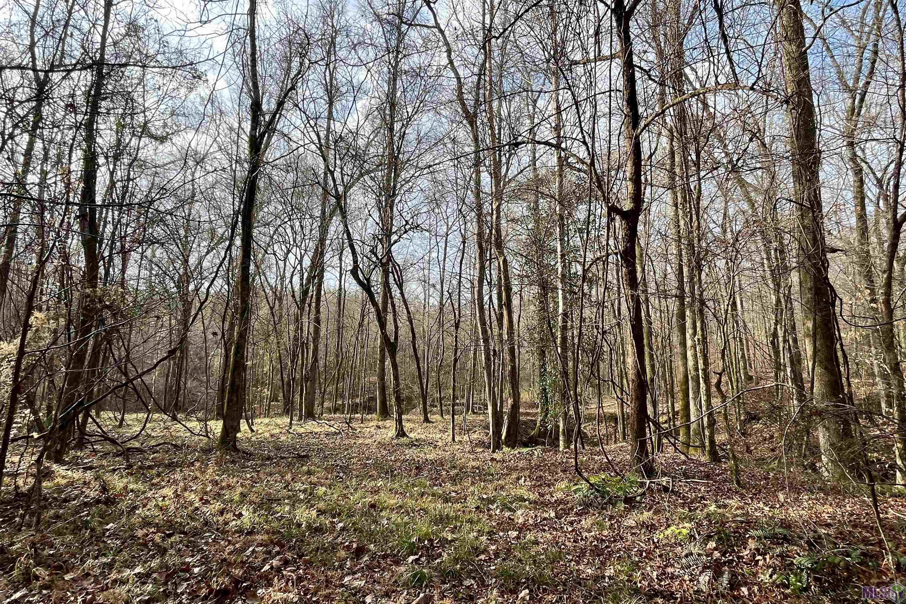 10078 Old Port Gibson Road Hermanville, MS 39086 - Photo 6 of 48