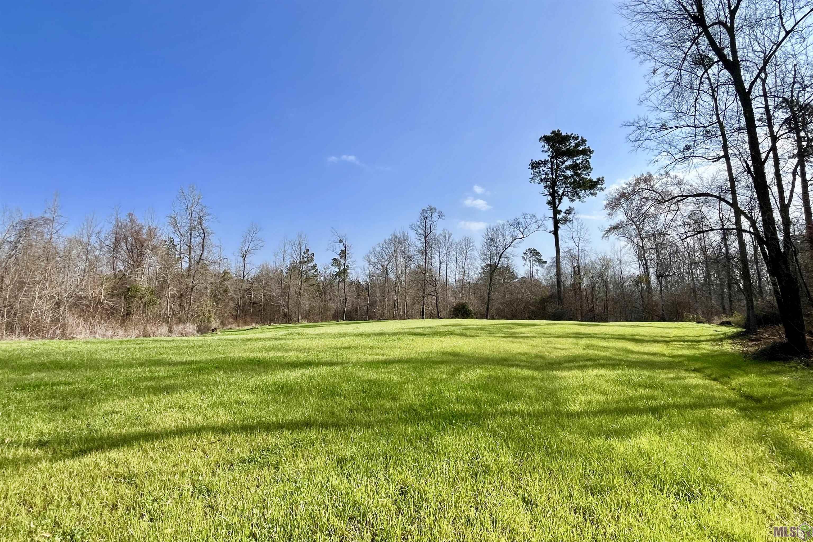 10078 Old Port Gibson Road Hermanville, MS 39086 - Photo 7 of 48