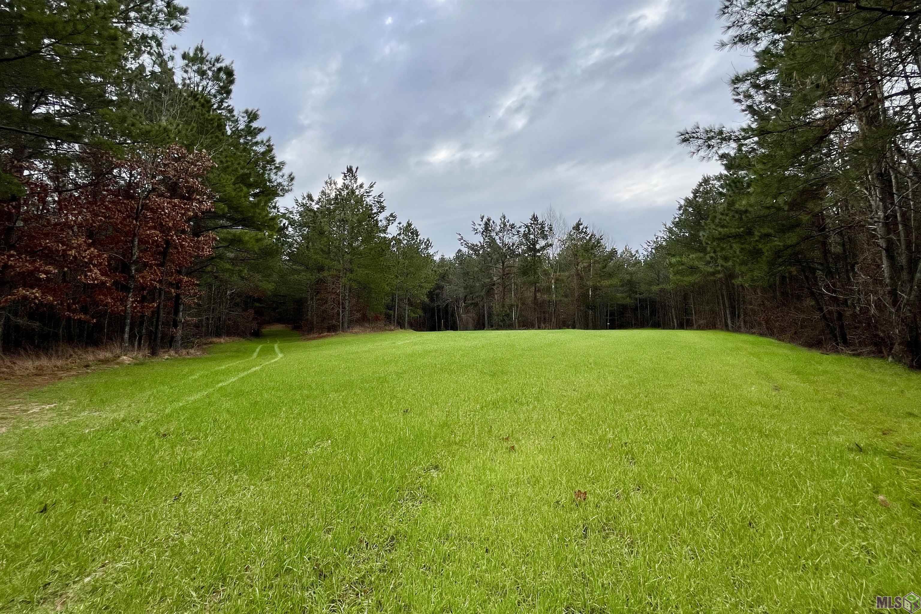 10078 Old Port Gibson Road Hermanville, MS 39086 - Photo 8 of 48