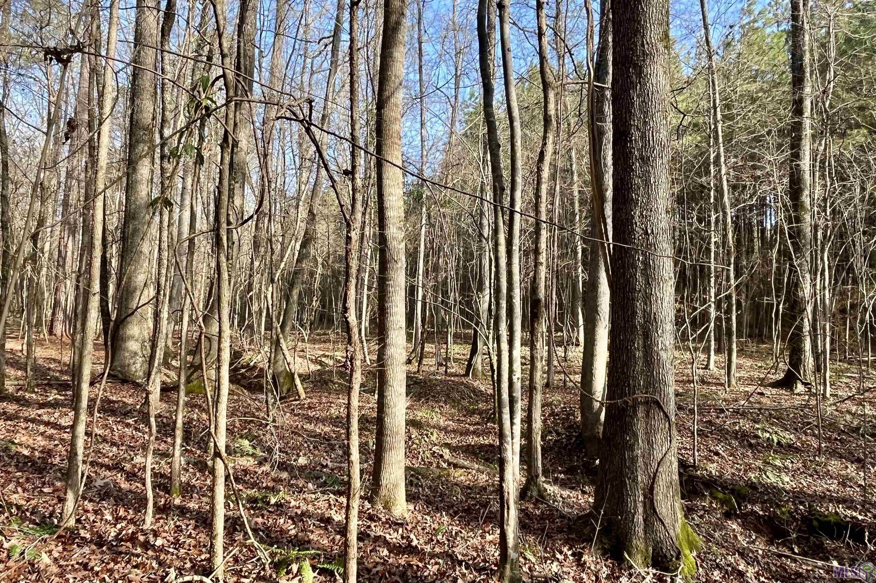 10078 Old Port Gibson Road Hermanville, MS 39086 - Photo 9 of 48