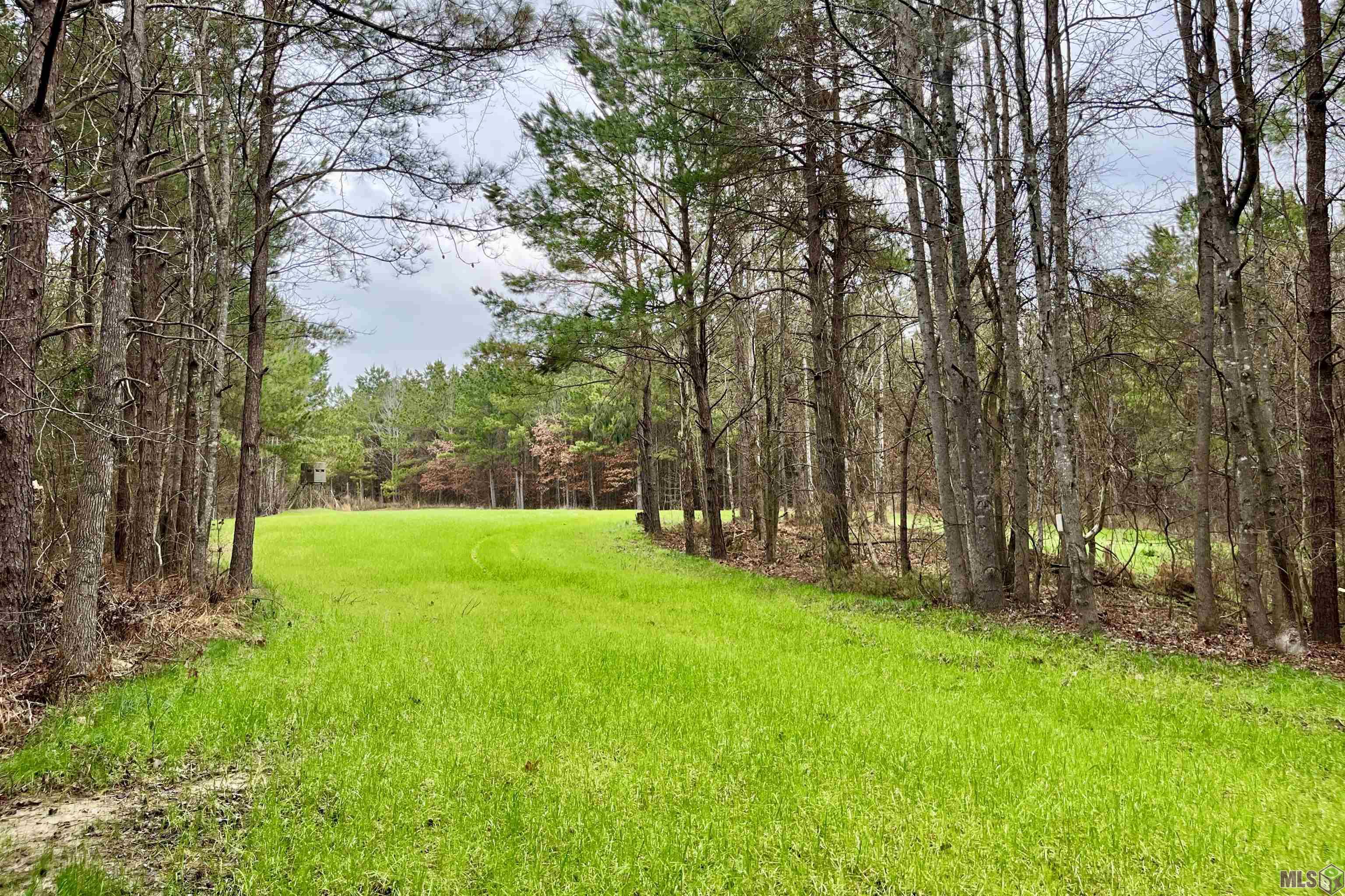 10078 Old Port Gibson Road Hermanville, MS 39086 - Photo 10 of 48