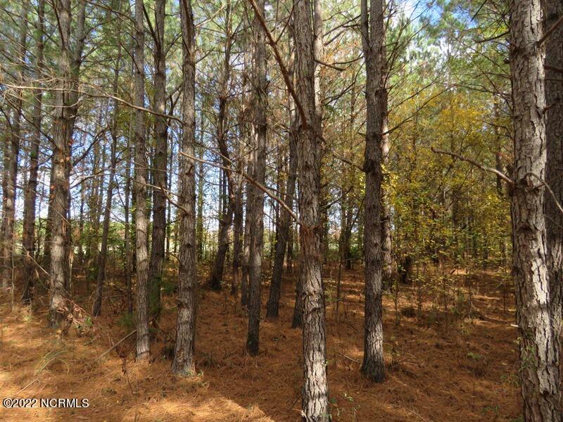 0 Lovette Road Lumberton, NC 28358 - Photo 23 of 39 IMG_6298