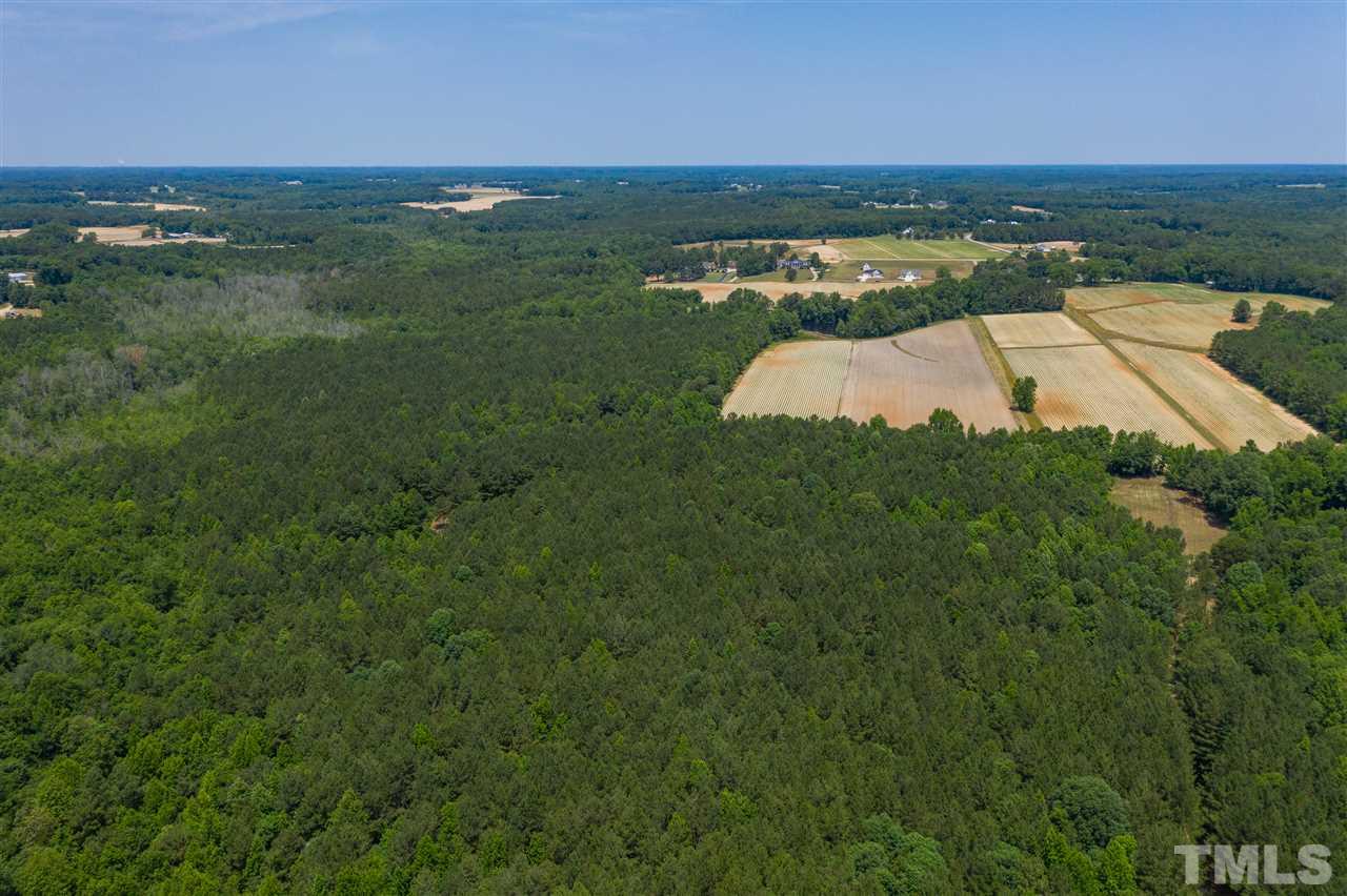 Jackson King Road Willow Spring, NC 27592 - Photo 8 of 18