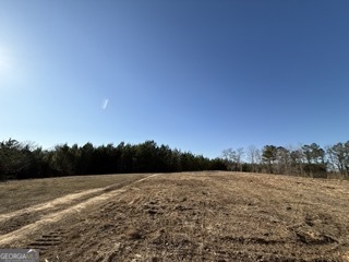 142 Wilson Way Musella, GA 31066 - Photo 24 of 39