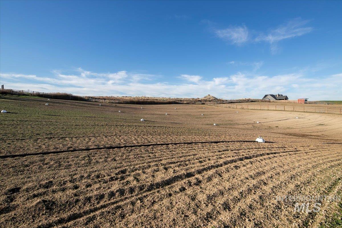 6721 El Paso Road Caldwell, ID 83607 - Photo 47 of 50 View of yard