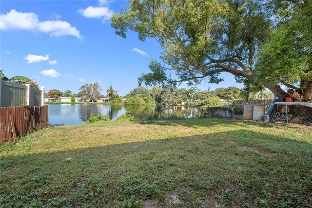 a view of a yard with an tree