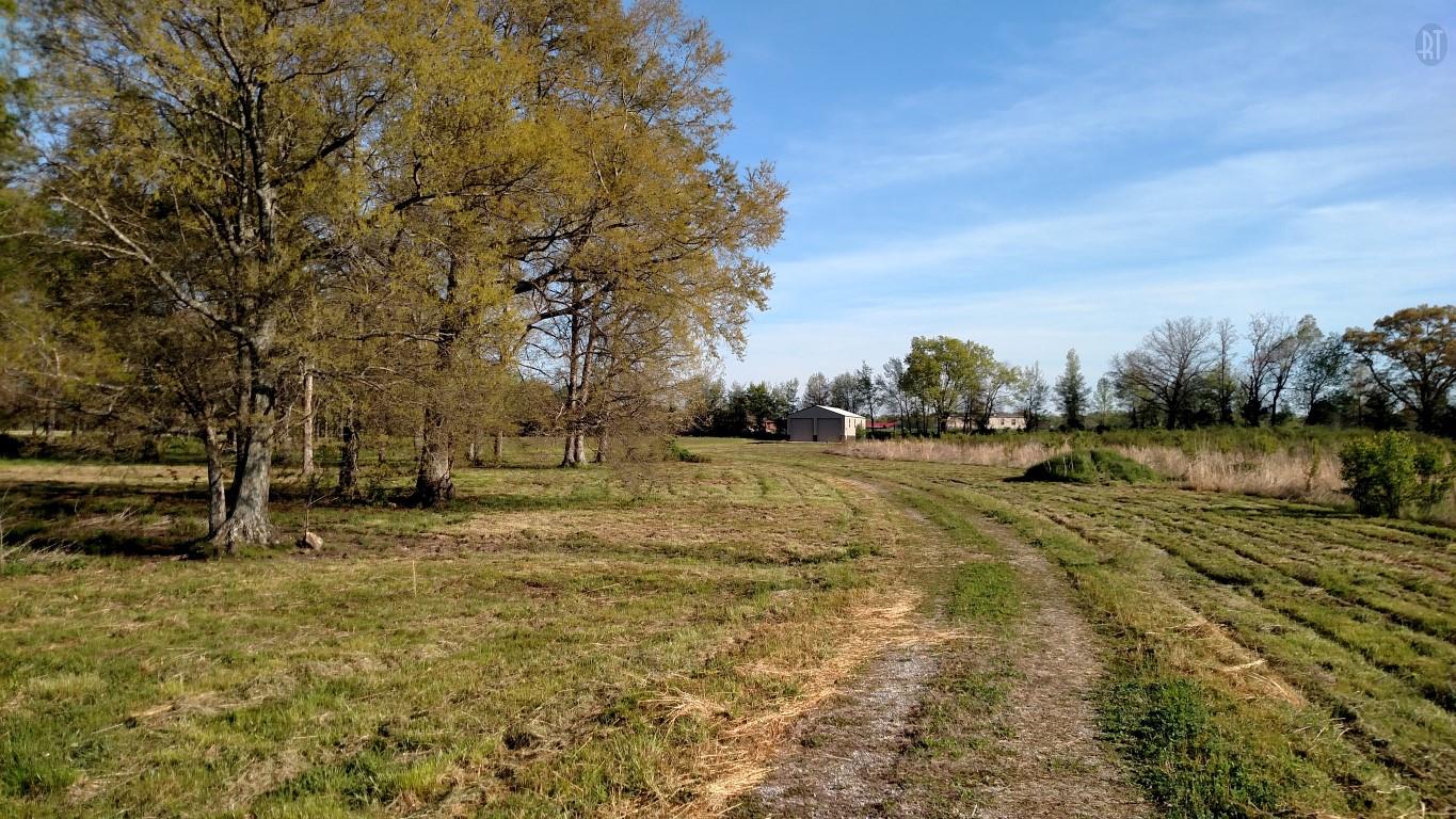 0 Williams Road Manchester, TN 37355 - Photo 1 of 6 Build Your Dream Home Here!