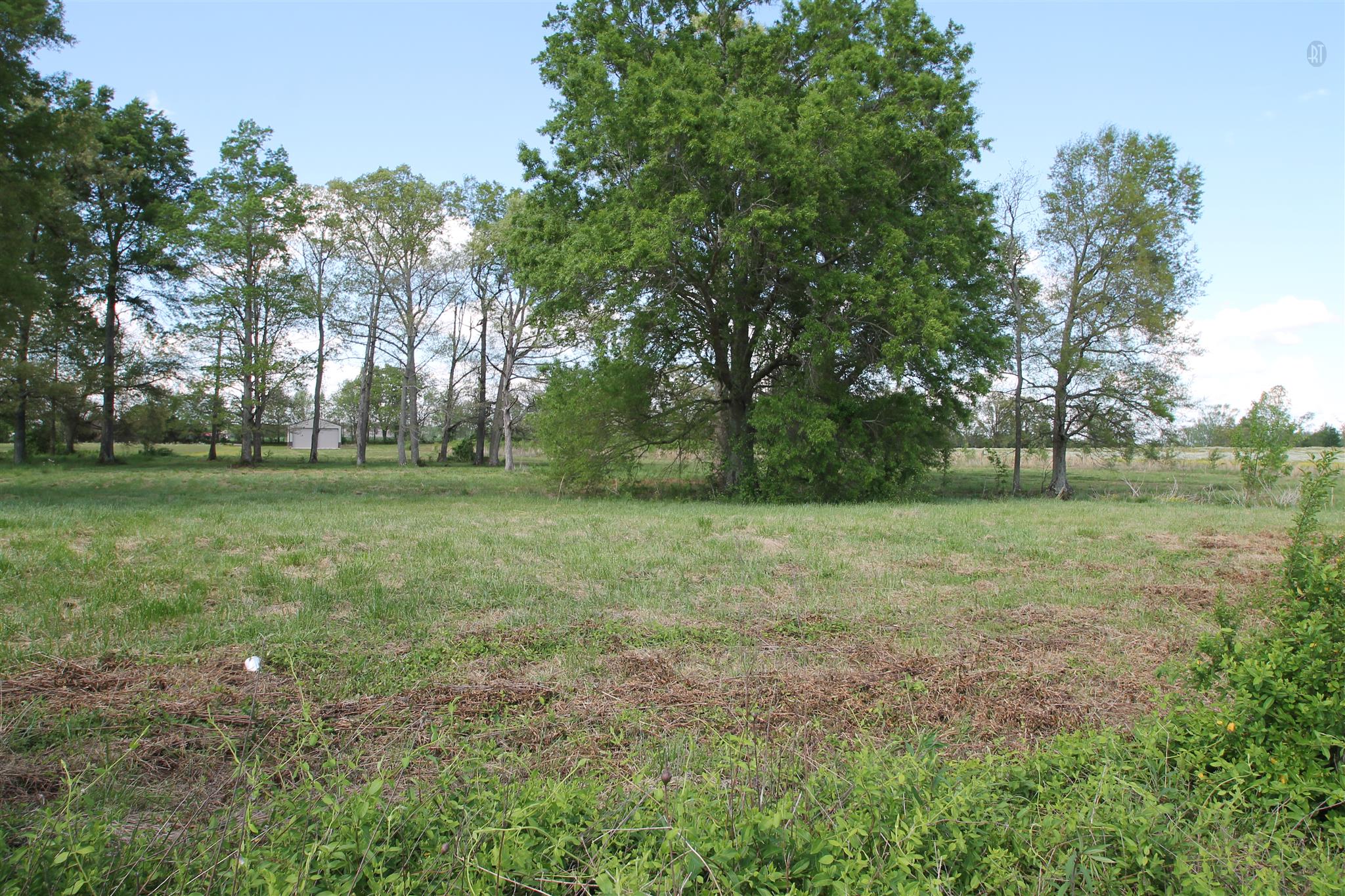 0 Williams Road Manchester, TN 37355 - Photo 5 of 6
