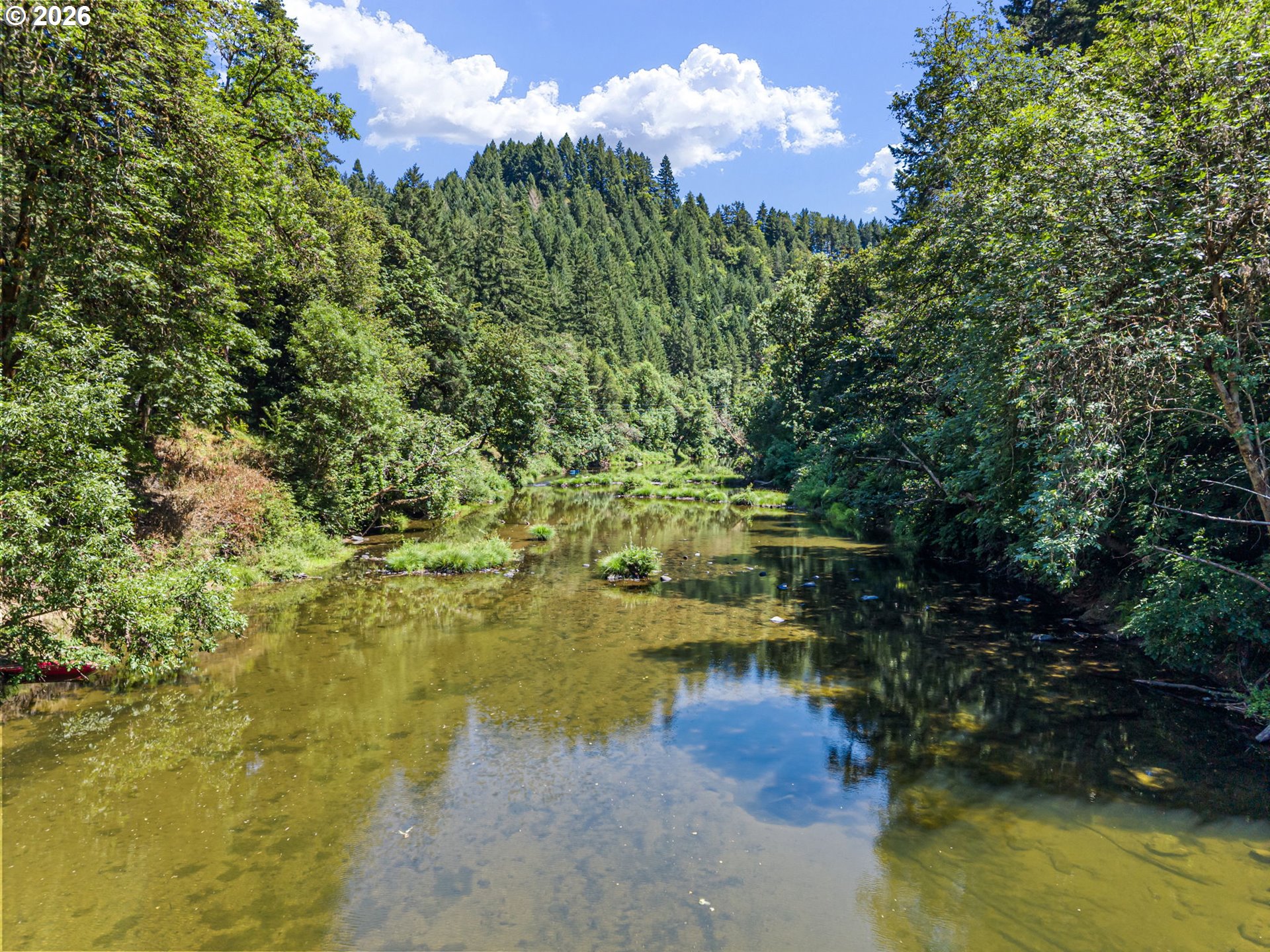 1462 Schad Road Elkton, OR 97436 - Photo 45 of 48