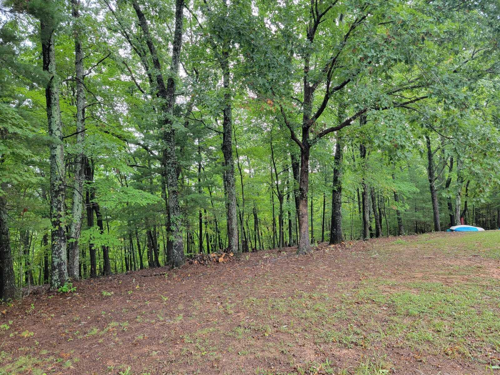 640 Cooks Knob Road Ferrum, VA 24088 - Photo 49 of 50 a big yard with trees