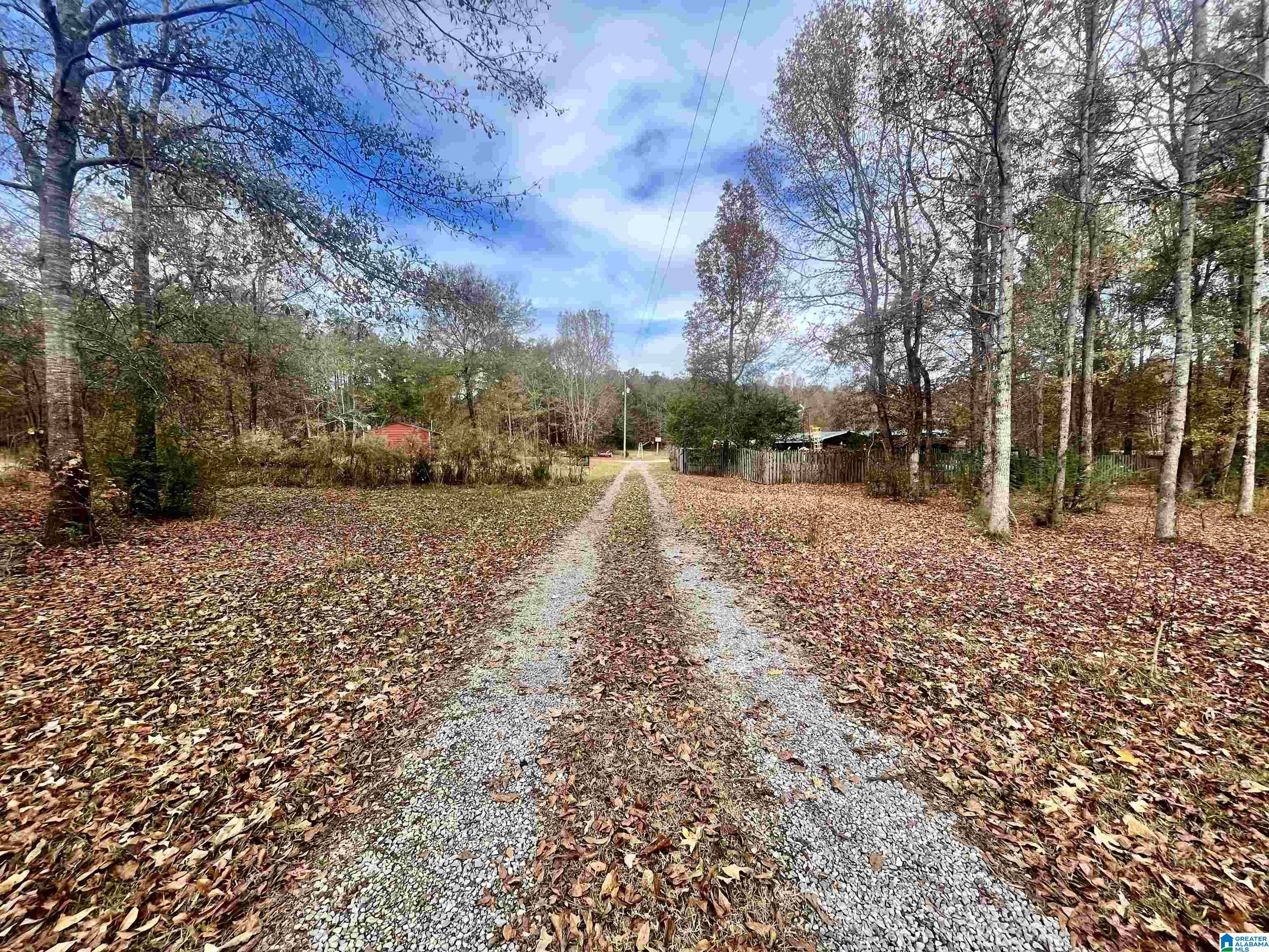 1010 Campbell Road Munford, AL 36268 - Photo 54 of 56