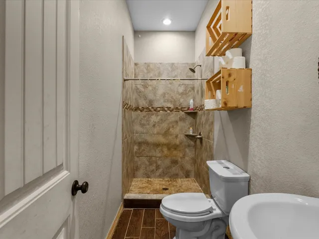 a white toilet sitting next to a shower curtain