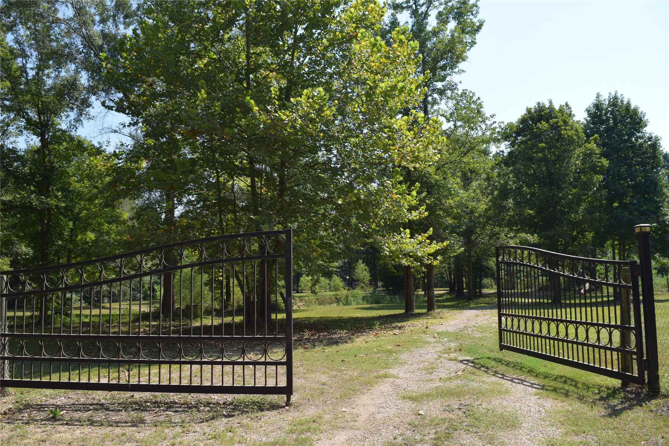 1151 County Line Road Shepherd, TX 77371 - Photo 2 of 40 a view of backyard with wooden fence and trees