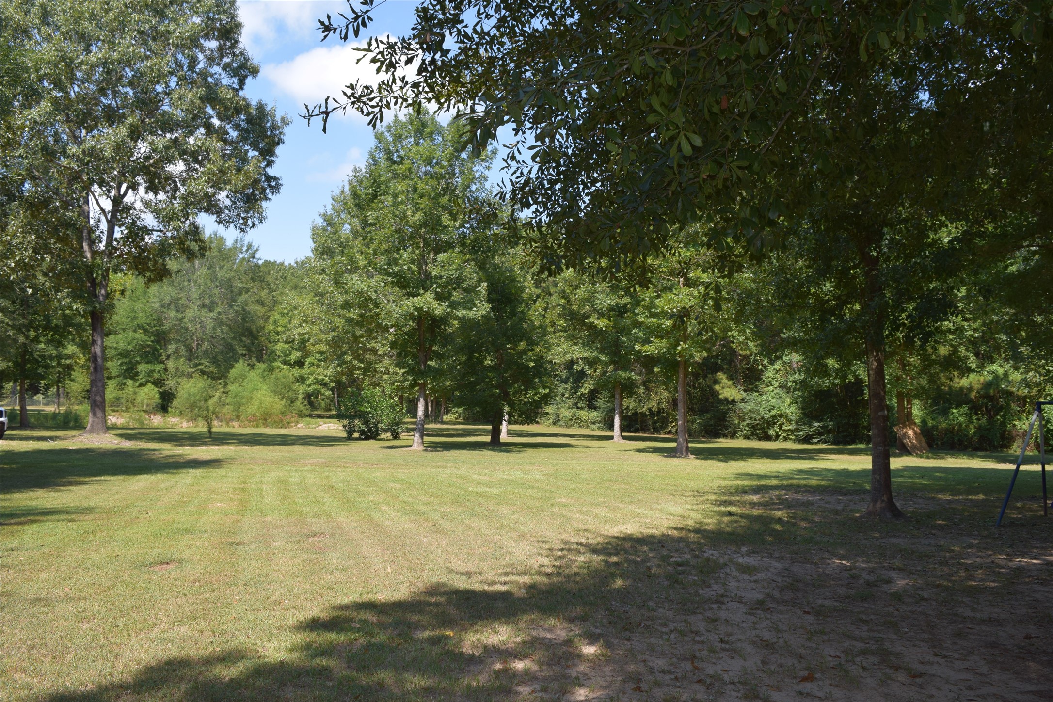 1151 County Line Road Shepherd, TX 77371 - Photo 29 of 40 a view of a green field with trees in the background