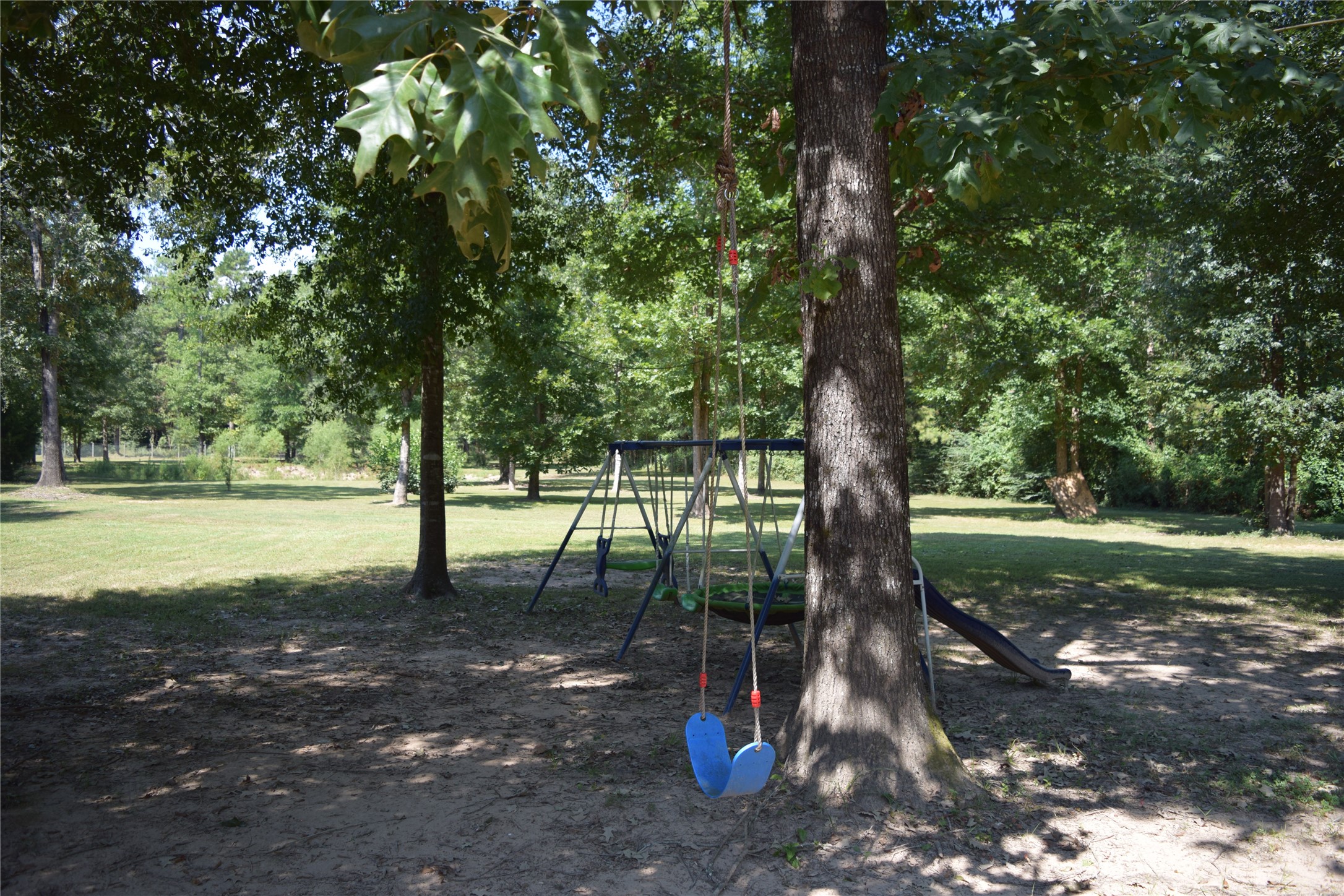 1151 County Line Road Shepherd, TX 77371 - Photo 31 of 40 a view of a tree in a yard
