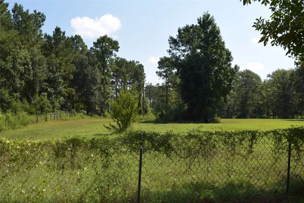 a view of a lush green space