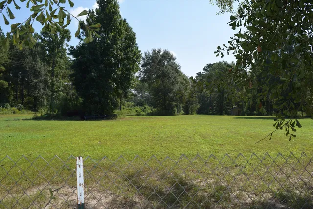 a view of a field with a tree