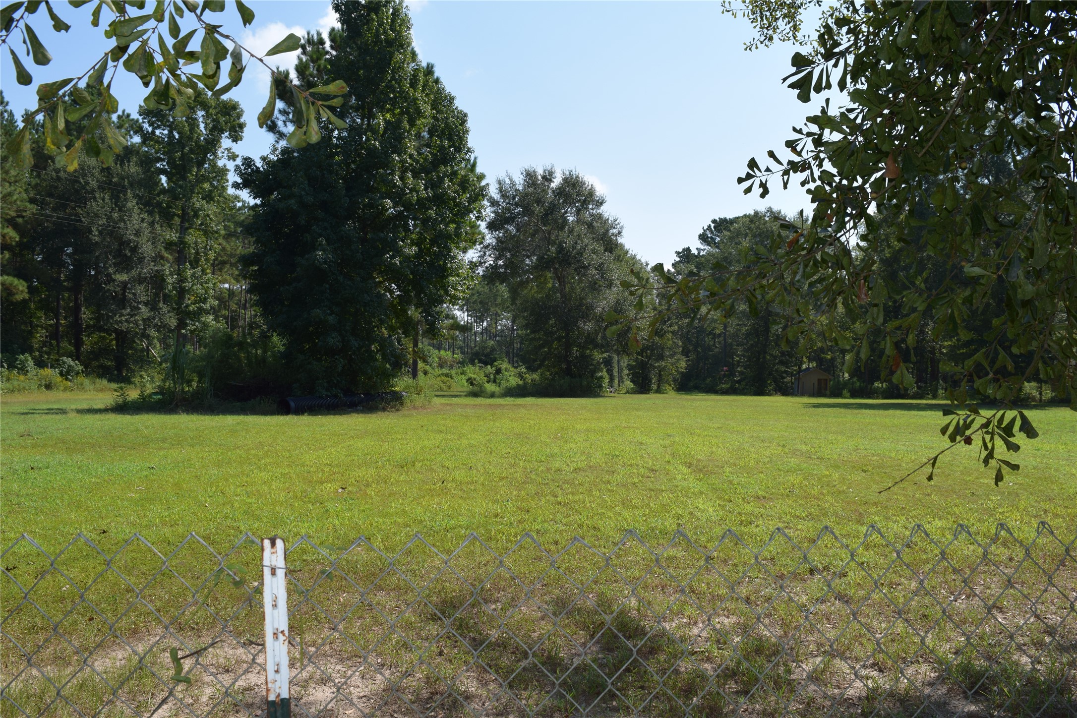 1151 County Line Road Shepherd, TX 77371 - Photo 33 of 40 a view of a field with a tree