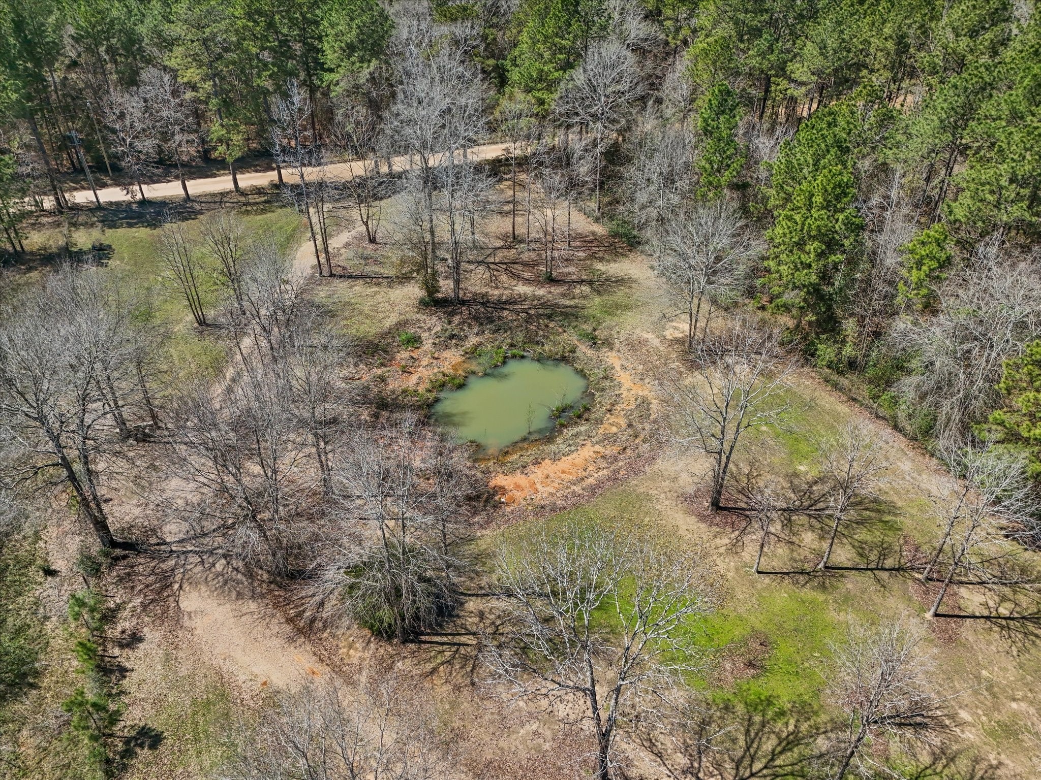 1151 County Line Road Shepherd, TX 77371 - Photo 40 of 40 a view of a lake with large trees