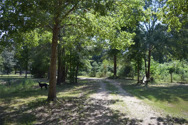 a view of backyard with green space