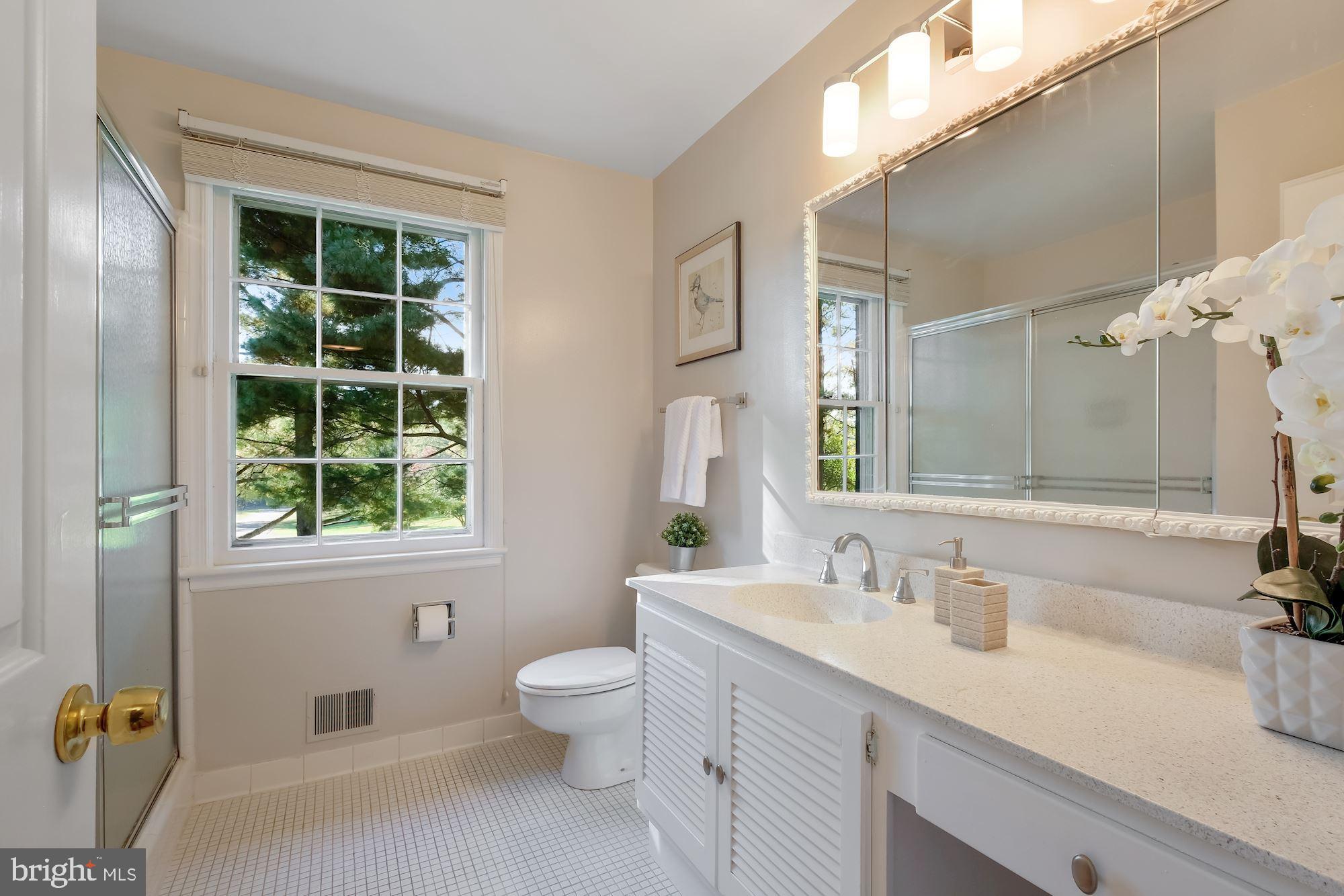 14829 Spring Meadows Drive Darnestown, MD 20874 - Photo 24 of 52 Primary bath