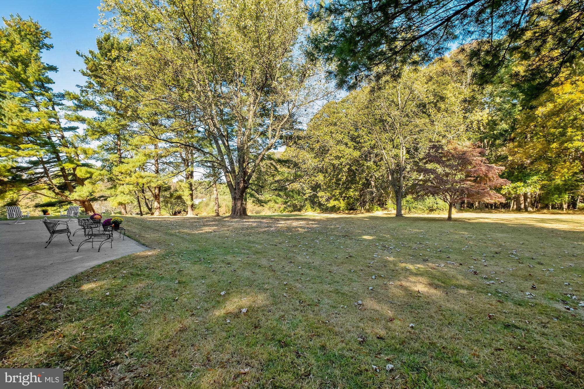 14829 Spring Meadows Drive Darnestown, MD 20874 - Photo 48 of 52 View to tree line