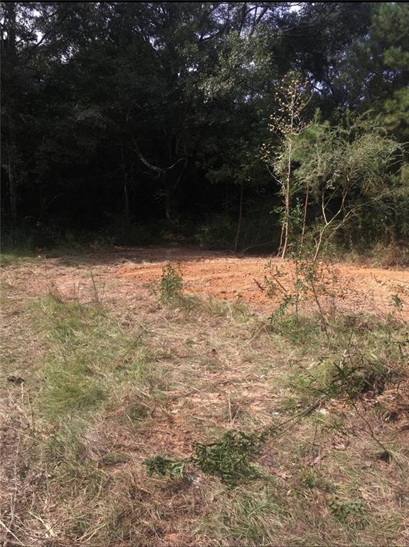 38415 Nan Wesley Road Denham Springs, LA 70706 - Photo 4 of 7 Gallery Image 4