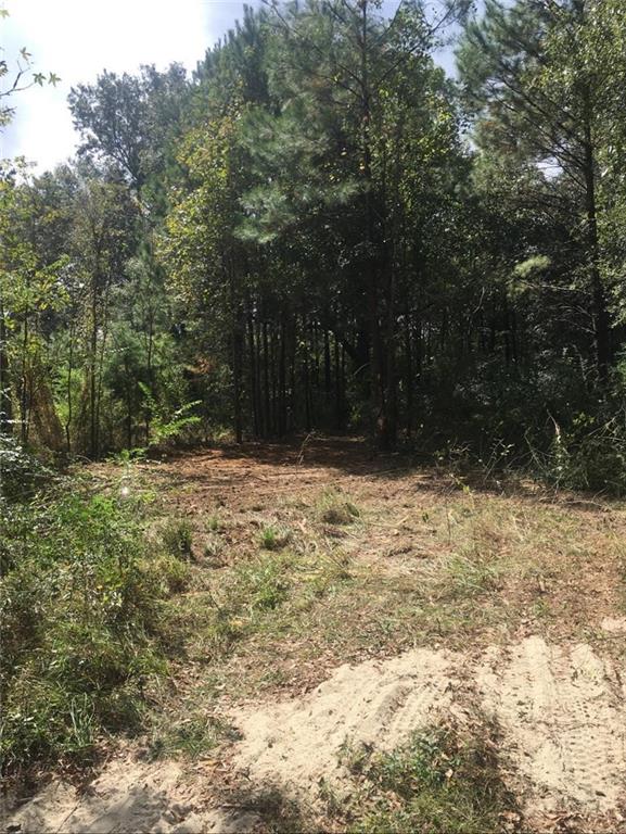 38415 Nan Wesley Road Denham Springs, LA 70706 - Photo 5 of 7 Gallery Image 5