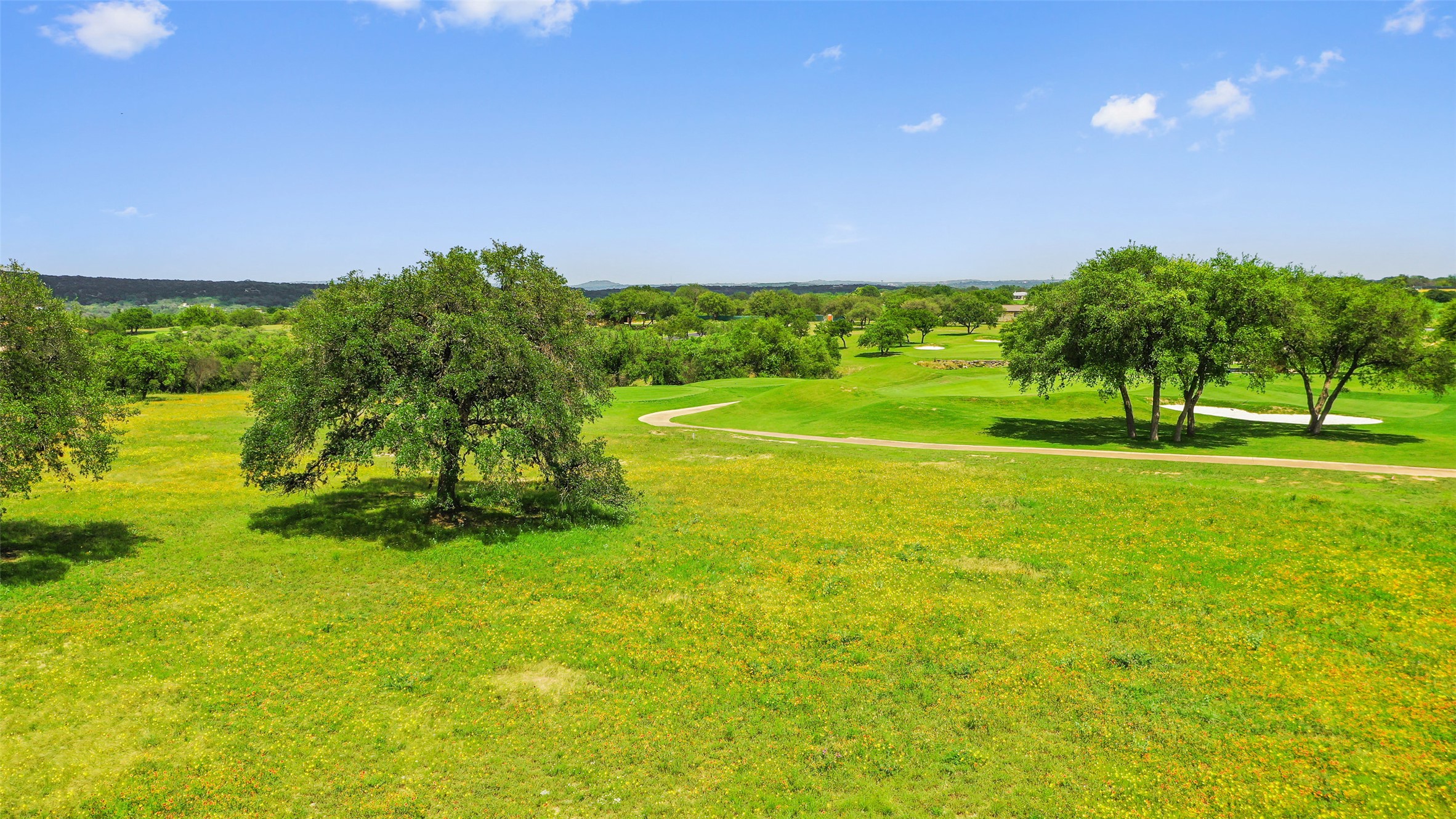 2711 Cliff Point Spicewood, TX 78669 - Photo 7 of 22 a view of a big yard with a large trees