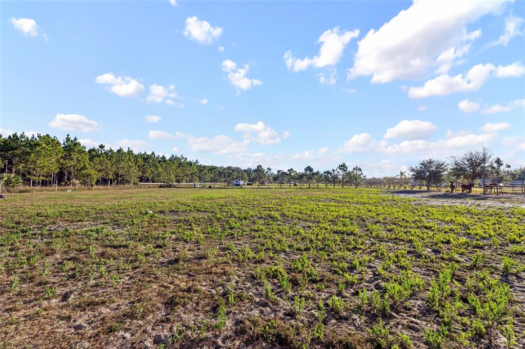 18121 Bethlehem Road Lithia, FL 33547 - Photo 11 of 13 a view of a lake