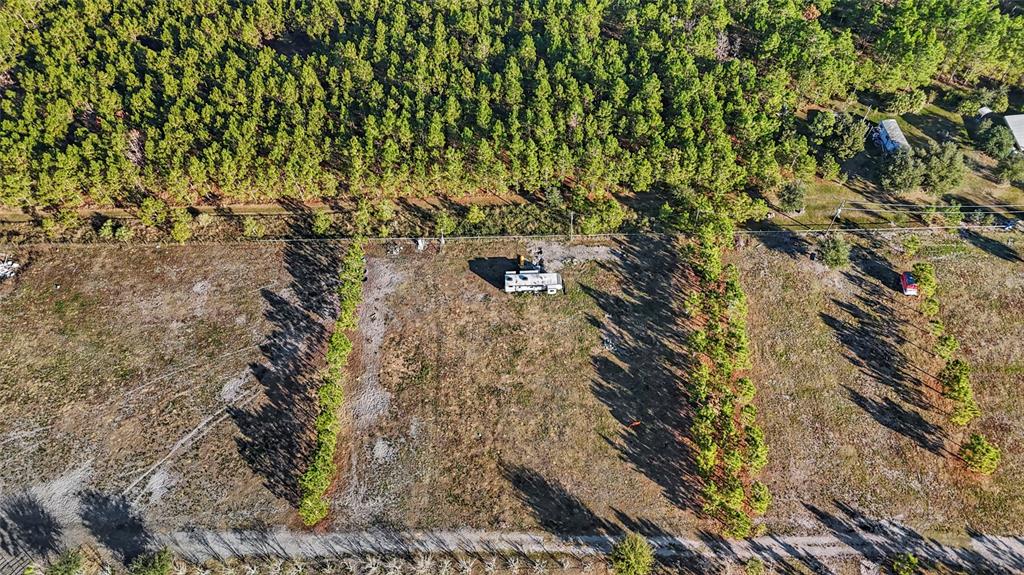 18121 Bethlehem Road Lithia, FL 33547 - Photo 7 of 13