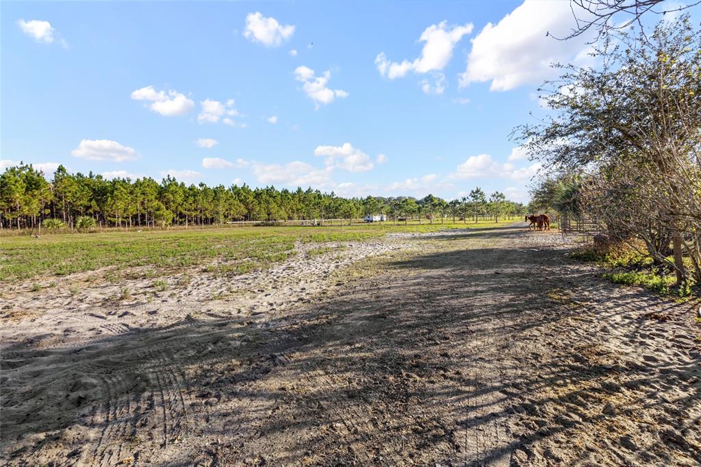 18121 Bethlehem Road Lithia, FL 33547 - Photo 10 of 13 a view of an ocean beach