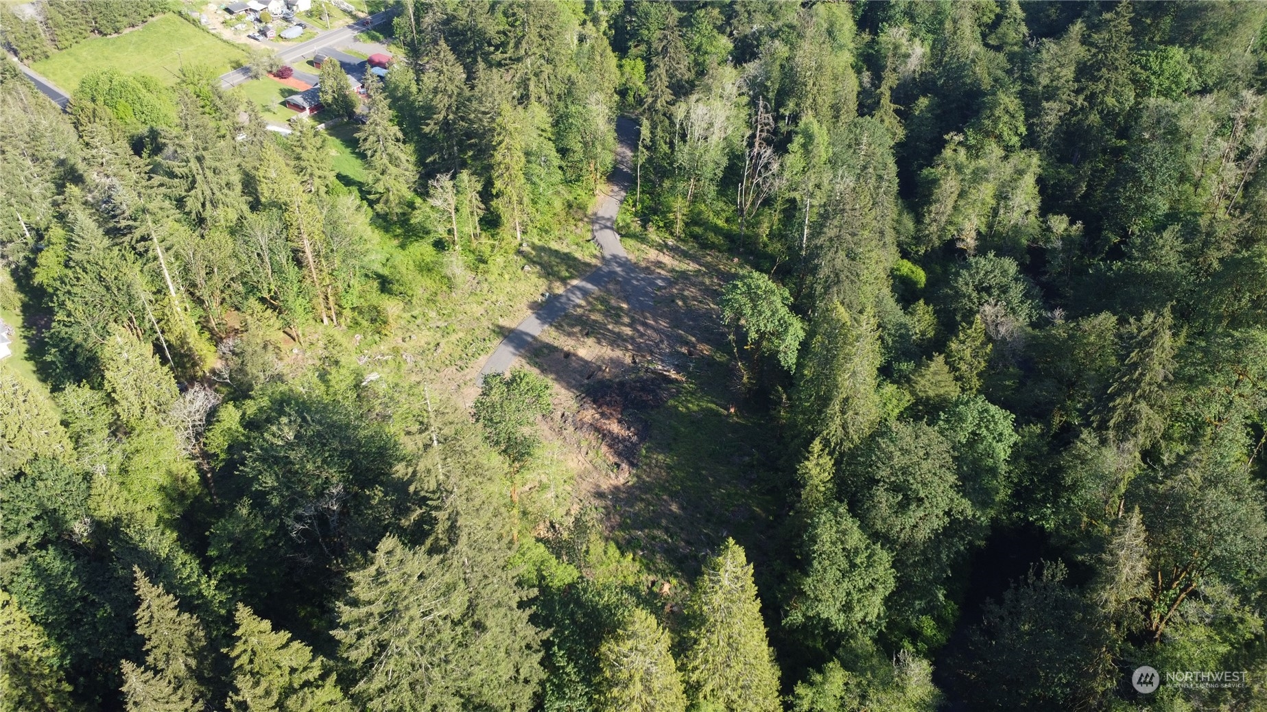 1139 Coal Creek Road Longview, WA 98632 - Photo 3 of 8 a view of a lush green forest