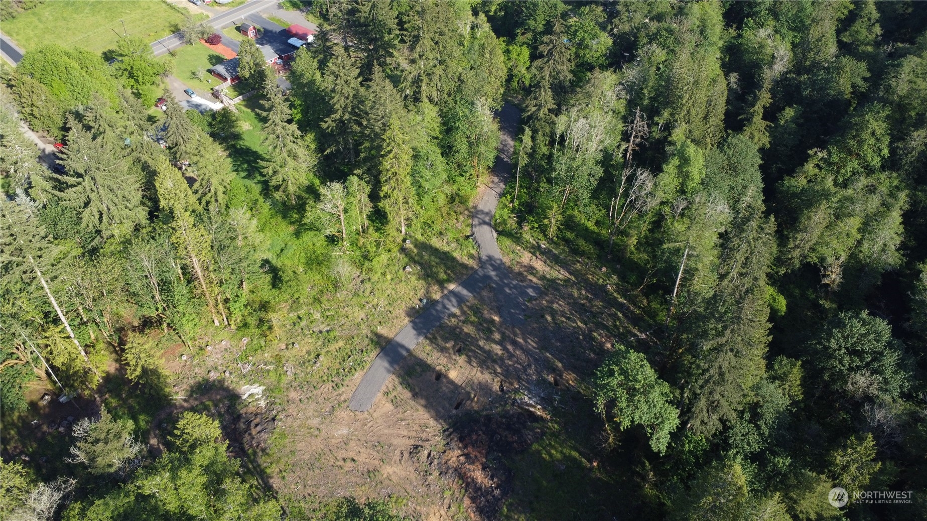 1139 Coal Creek Road Longview, WA 98632 - Photo 5 of 8 a view of a forest with a tree