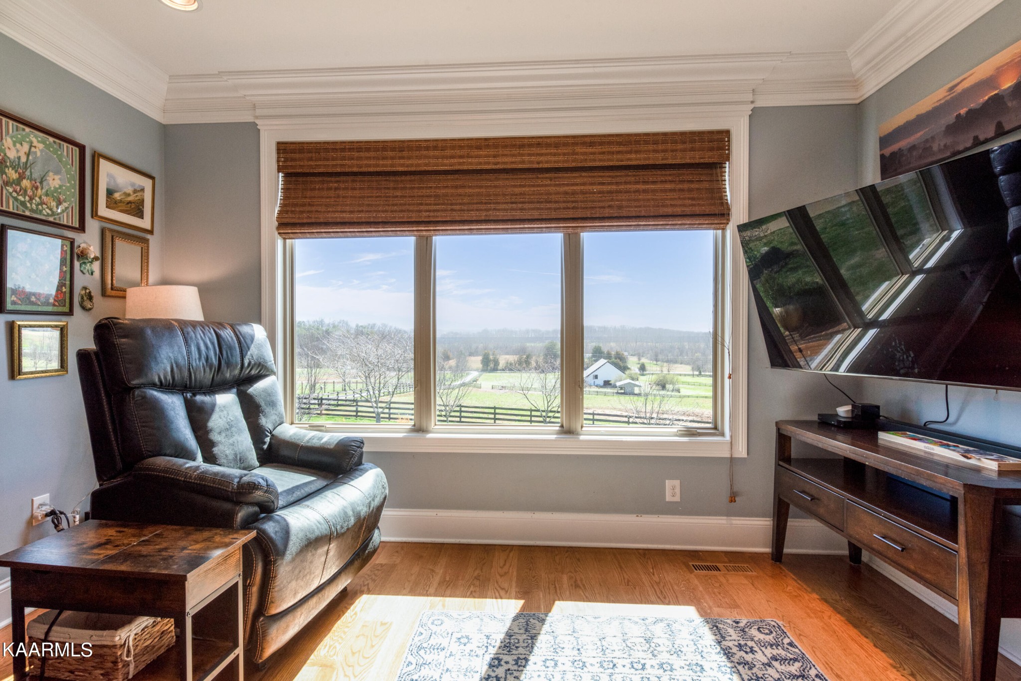 6069 Morganton Road Greenback, TN 37742 - Photo 34 of 60 a living room with furniture and a window