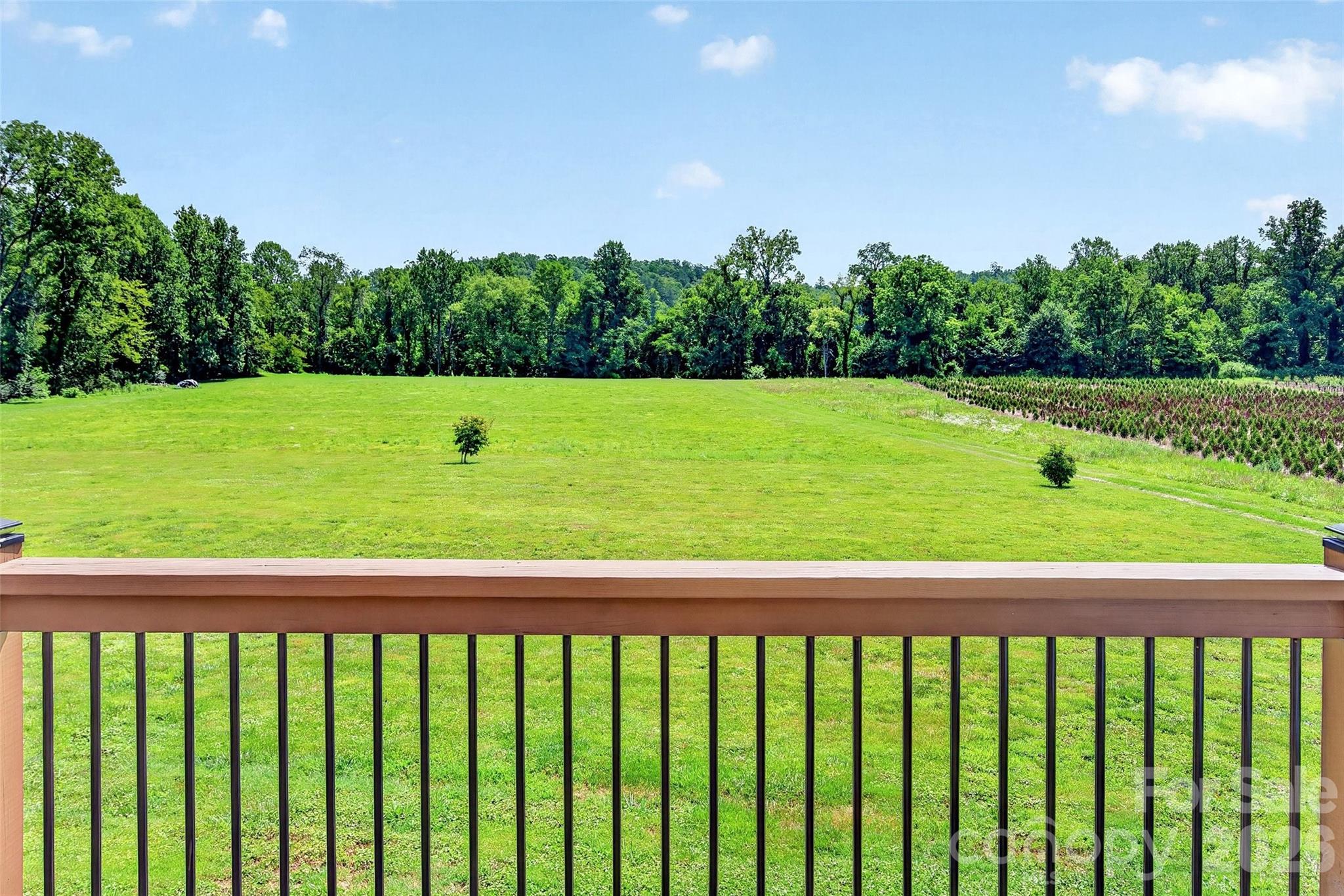 768 Lake Tahoma Road Marion, NC 28752 - Photo 25 of 48