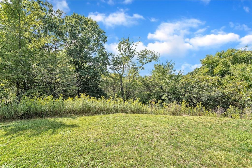 896 Ashley Road Gibsonia, PA 15044 - Photo 25 of 25 a view of backyard with green space