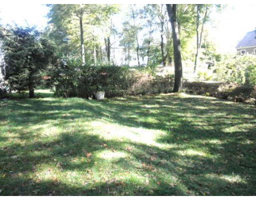 53 Harvard Street Extension Natick, MA 01760 - Photo 11 of 11 a big yard with lots of green space and plants