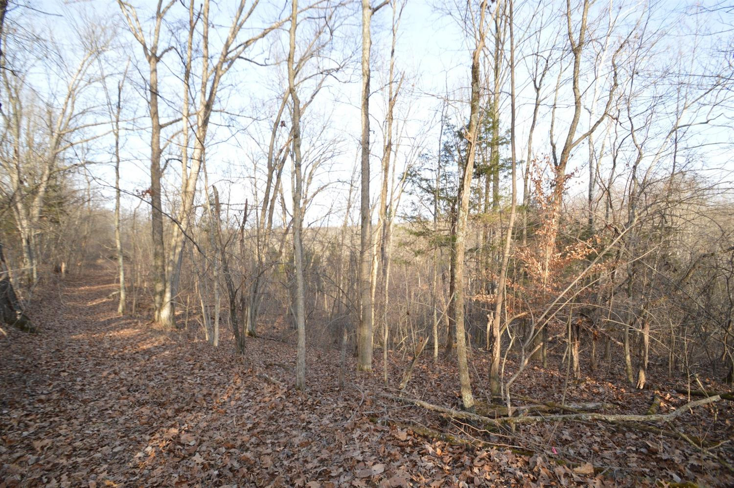 1290 Dennis Road, Unit 3 Lawrenceburg, KY 40342 - Photo 11 of 76 Photo 11