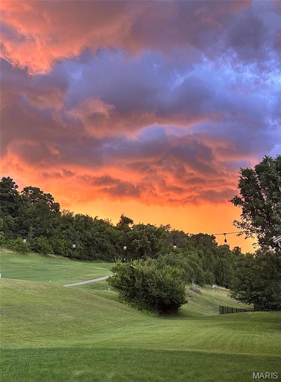 2301 Fairway High Ridge, MO 63049 - Photo 48 of 51