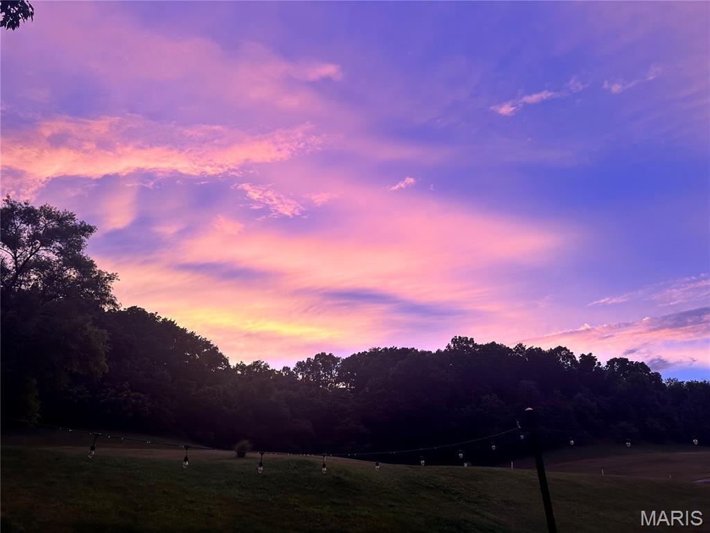 2301 Fairway High Ridge, MO 63049 - Photo 49 of 51