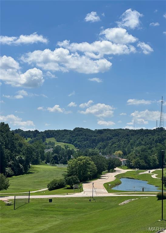 2301 Fairway High Ridge, MO 63049 - Photo 50 of 51