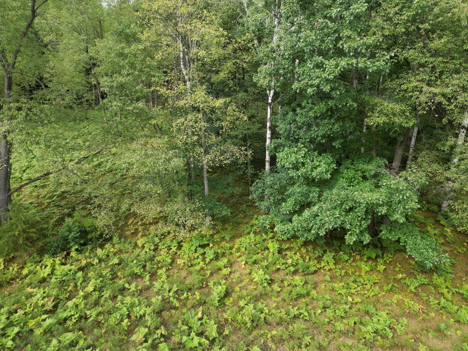 6188 Fox Run Circle Canadian Lakes, MI 49346 - Photo 3 of 10 3