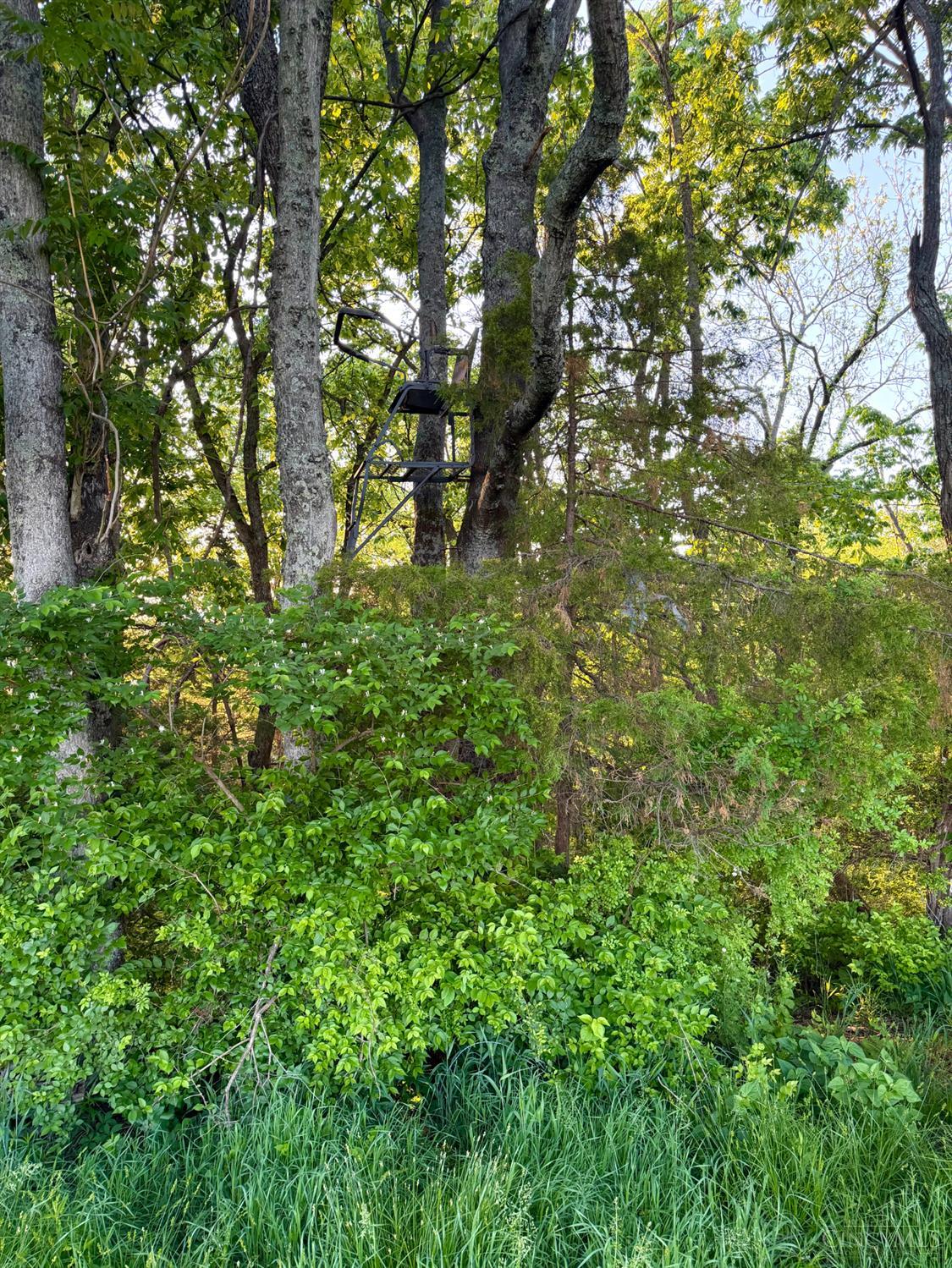 0 Maynard Road Ripley, OH 45167 - Photo 78 of 99