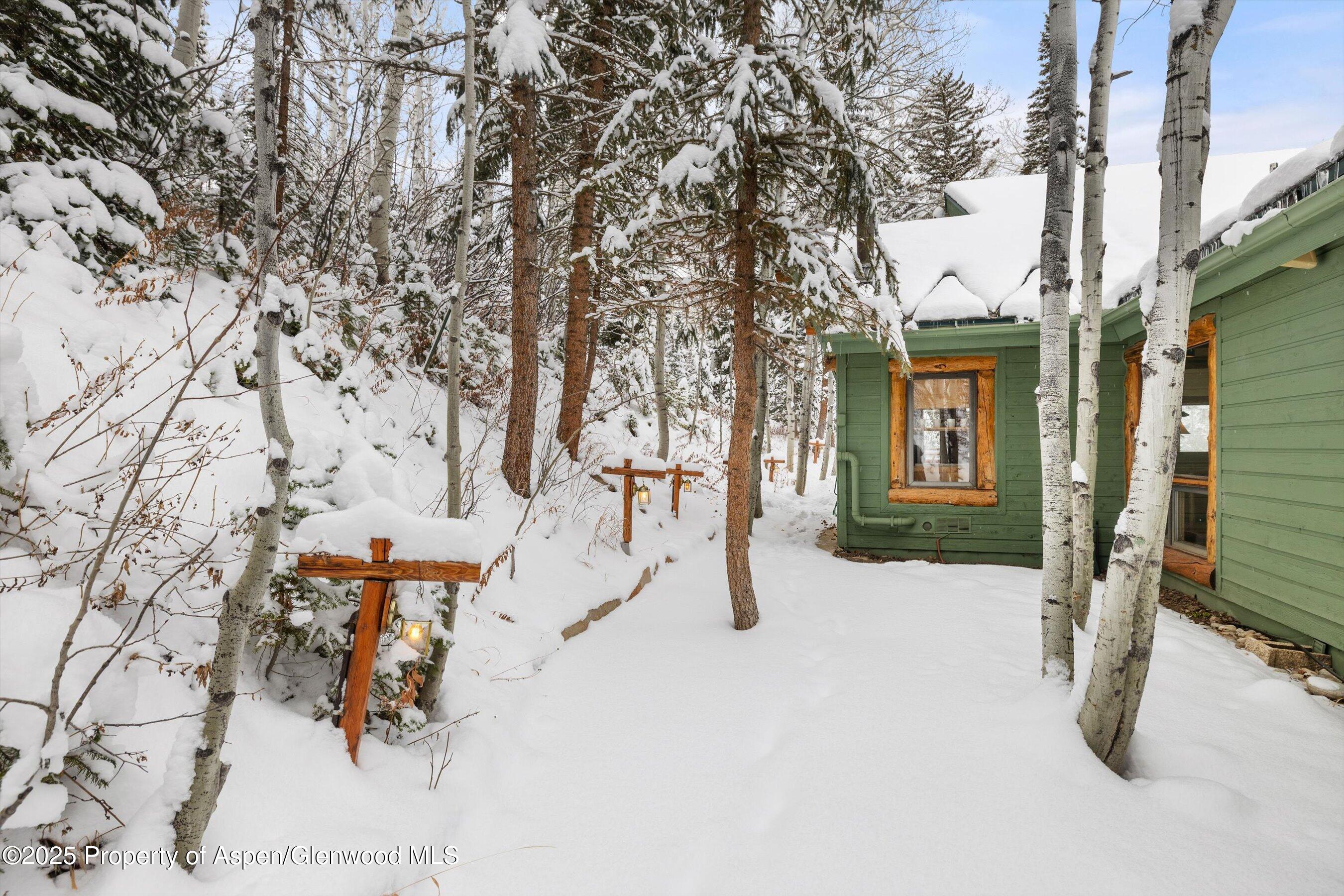 818 Faraway Road Snowmass Village, CO 81615 - Photo 27 of 30 Backyard