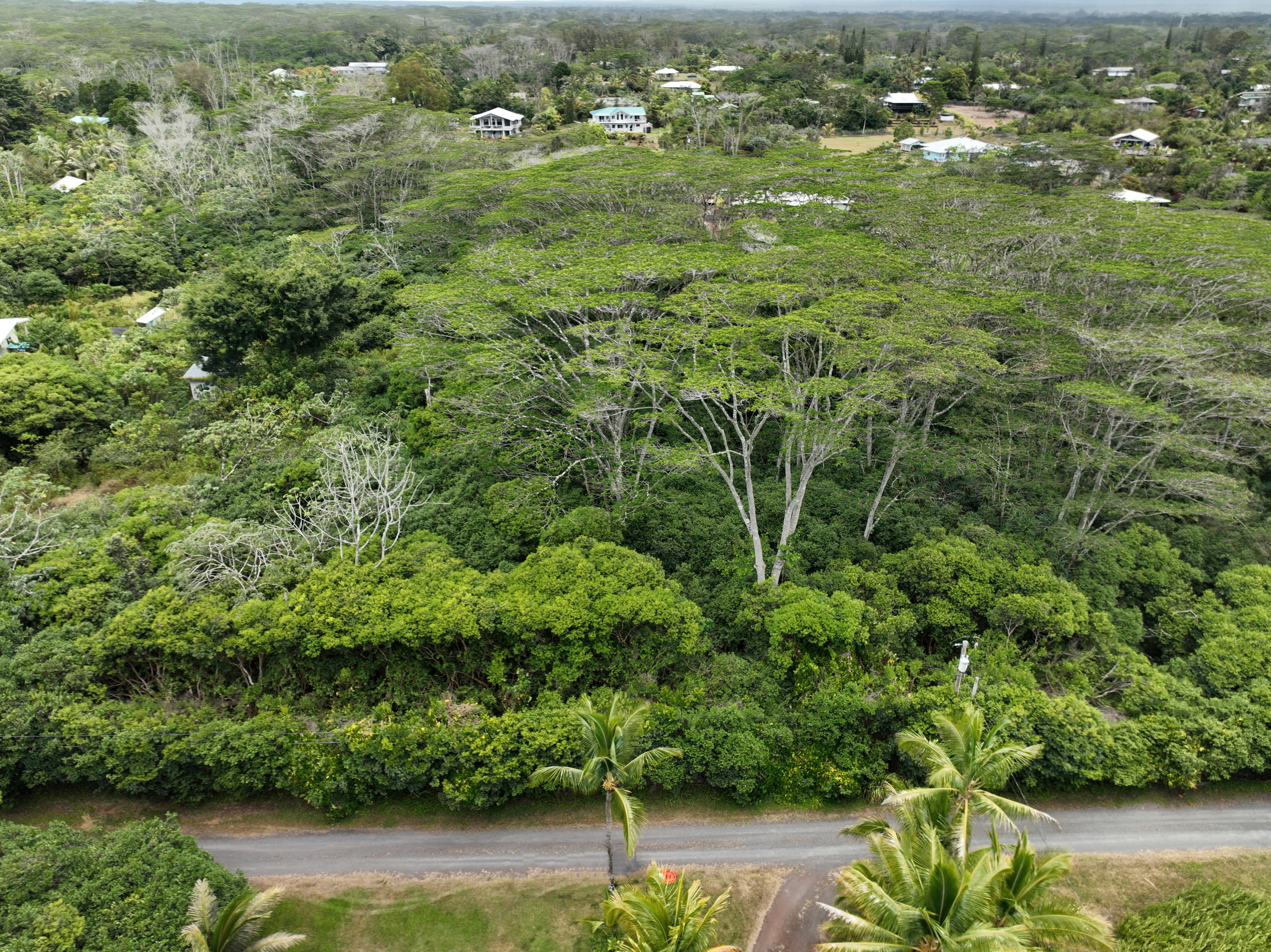 1401 3rd Avenue Keaau, HI 96749 - Photo 14 of 30 an aerial view of residential houses with outdoor space and trees