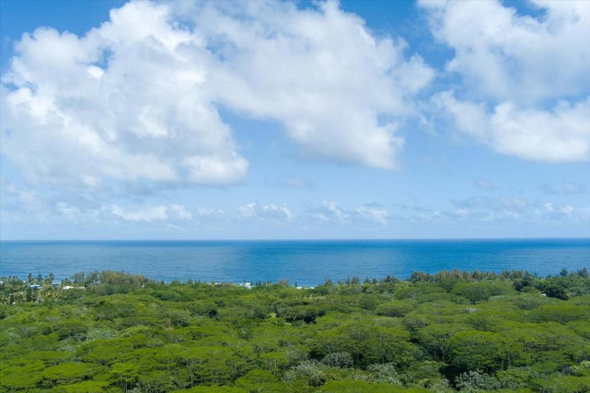 1401 3rd Avenue Keaau, HI 96749 - Photo 20 of 30 a view of a field with lots of trees in background